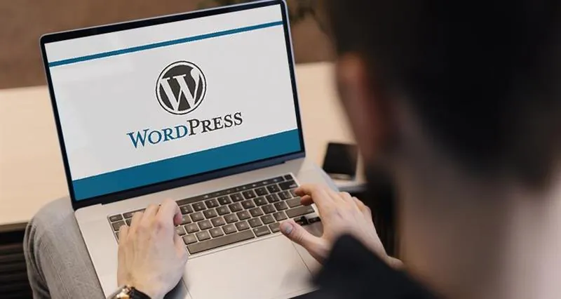 Top 9 Benefits to Hire a WordPress Development Company in Texas?