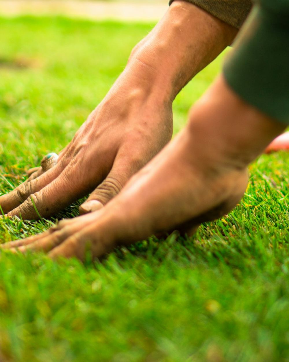Hands pressing fresh sod into the ground