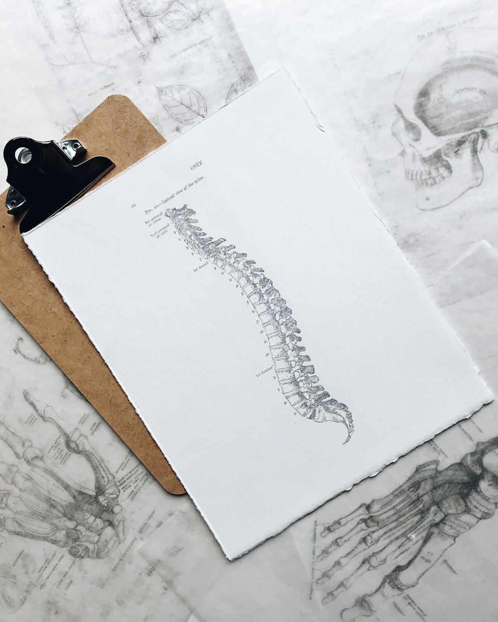A clipboard with a spine illustration