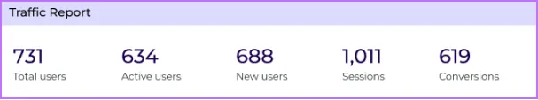 Traffic report: 731 total users, 688 new users, 1,011 sessions and 619 conversions