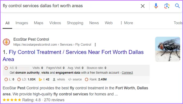Google search results with Ecostar first for fly control services in Dallas Fort Worth