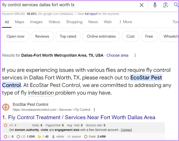 Google search results with Ecostar first for fly control services Dallas Fort Worth TX